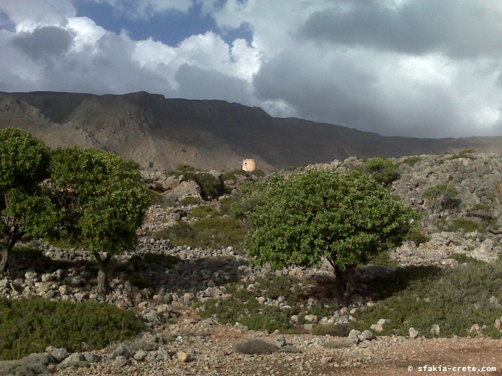 Photo report of a visit around Loutro and Sfakia, October 2007